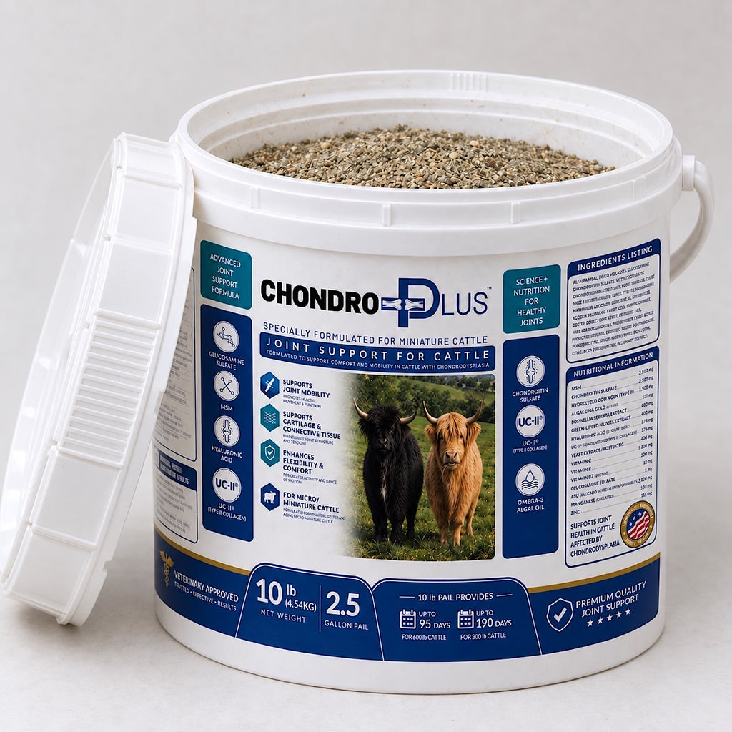 Open Chondro Plus pail showing joint support powder formulated for miniature and micro miniature cattle with chondrodysplasia